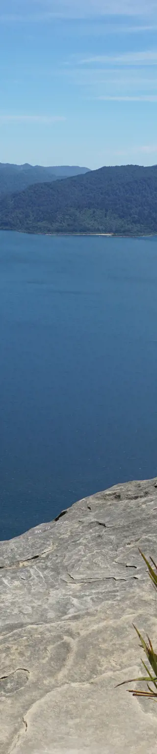 Wandern im Te Urewara Nationalpark